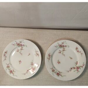 ANTIQUE Theodore Haviland Limoges France Patent Applied 2 Dinner Plates Floral